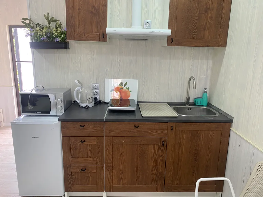 Квартира 1-комнатная Квартира — Сириус