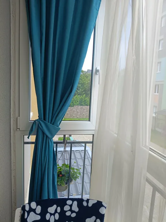 Аппартаменты Причал мечты на берегу Балтики