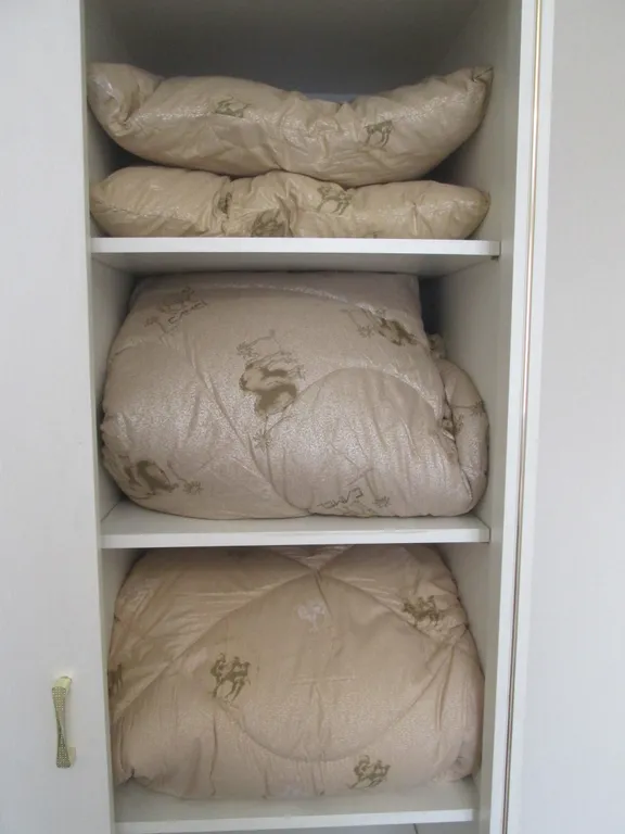 Квартира с видом на стадион и парк Галицкого