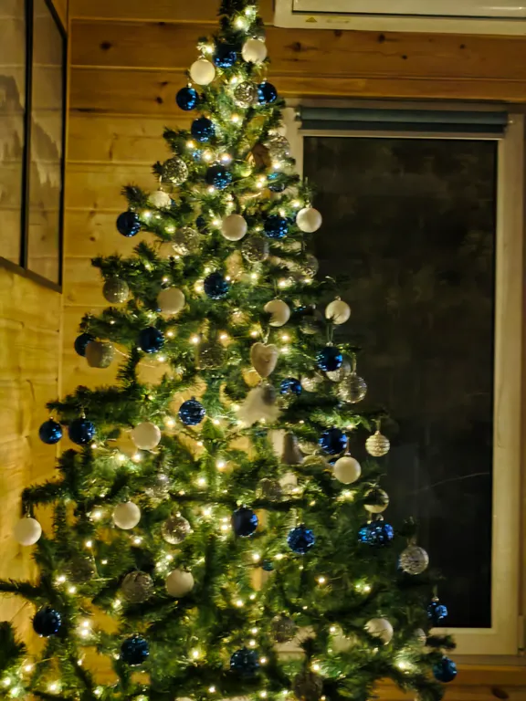 Домик, чан, баня в сосновом лесу, закрытая территория