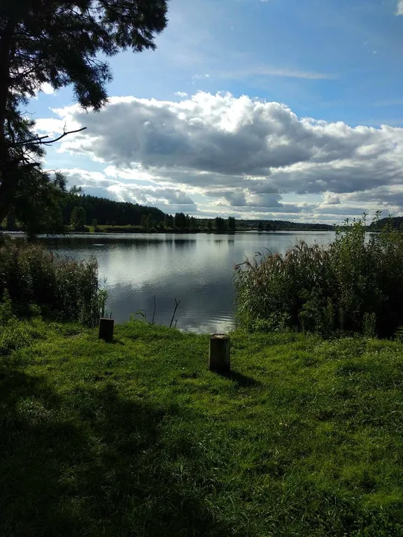 Усадьба в Беловежской пуще