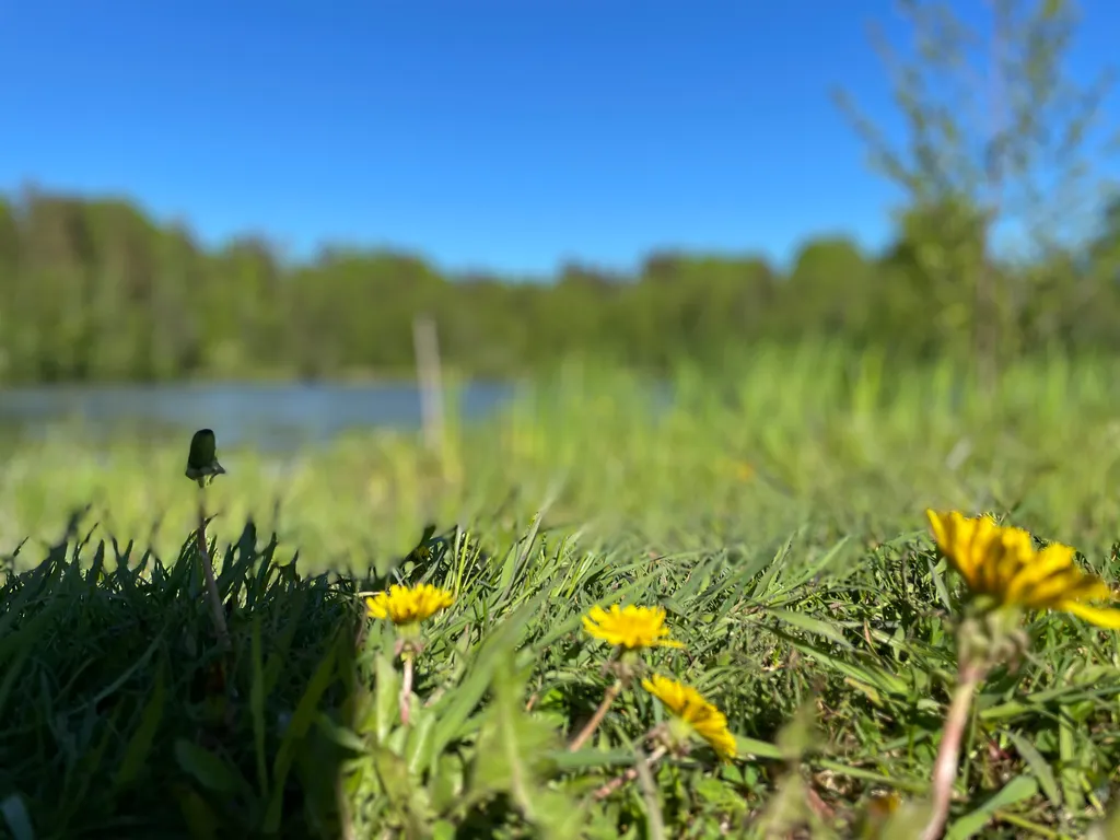 Соловьевка Villa