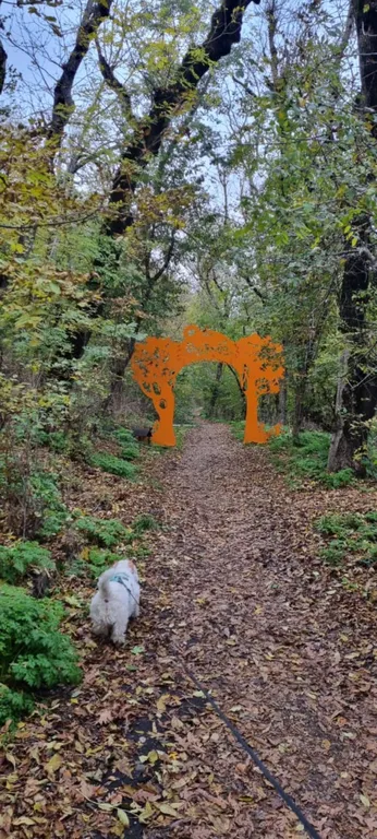 Тихий Домик с видом на горы