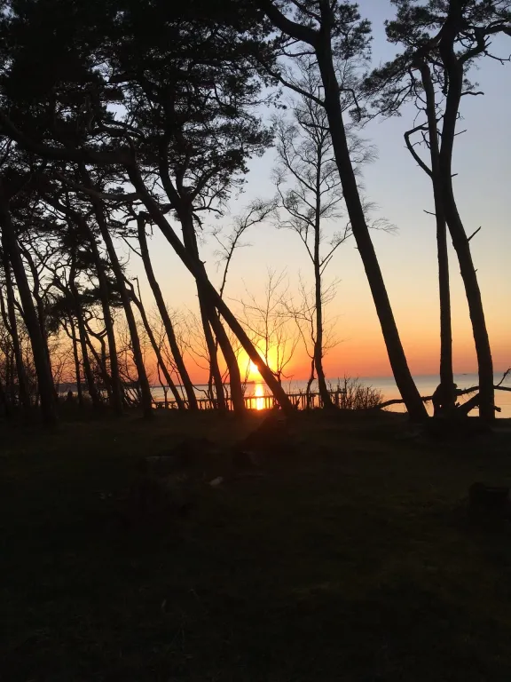 Уютная квартира с видом на море