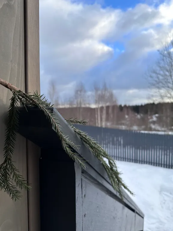 Дом на холме у леса