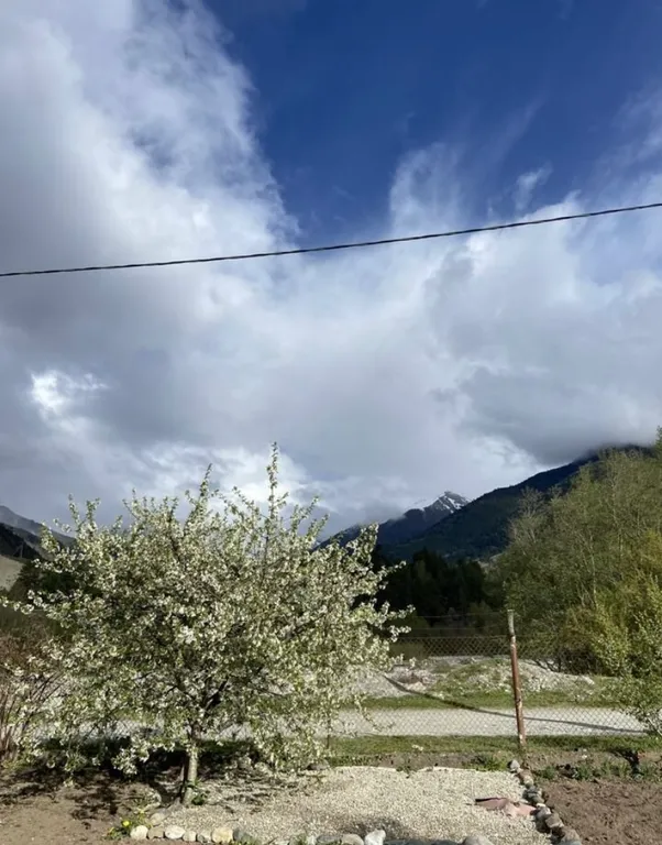 Домики у реки Теберда