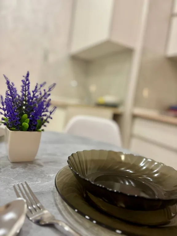 Уютная квартира-студия в центральном районе города Курск