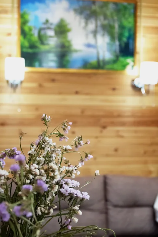 Дом-дача у Мишутки имбирный