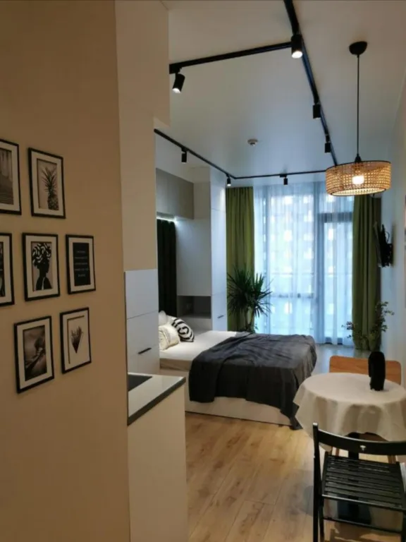 Квартира Апартаменты с видом на море и горы в центре — аренда посуточно в Батуми