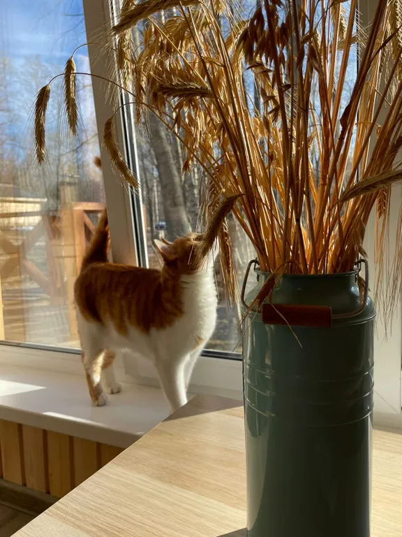 Коттедж Дом в скандинавском стиле — Приладожское