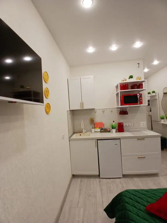 Студия с прекрасным видом, парк, новый дом