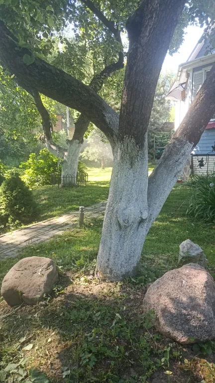 Коттедж Коттедж Курортное шале в писательском Переделкино — Москва