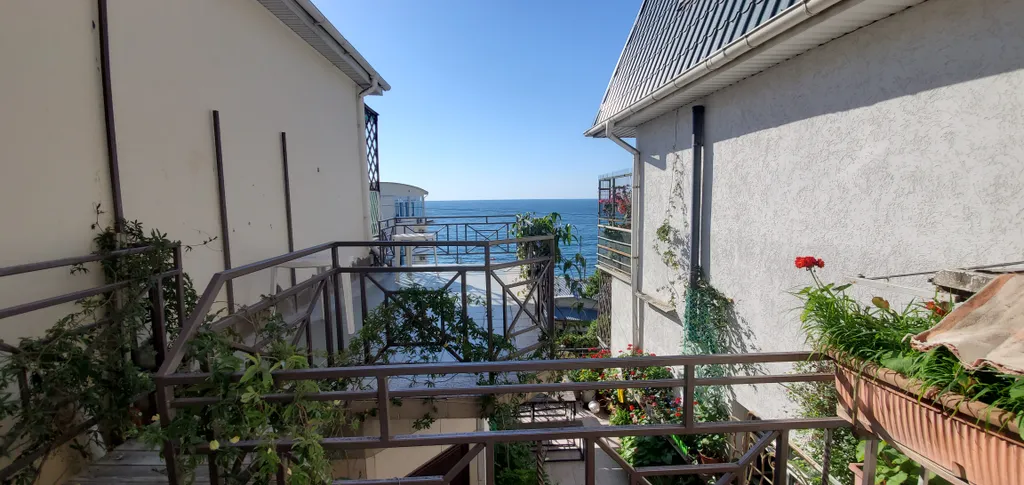 Видовой номер