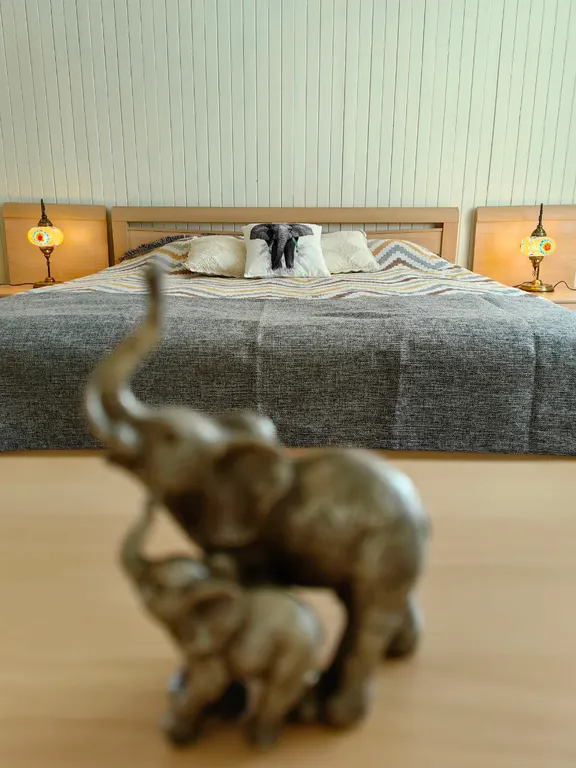 Дом с финской сауной внутри дома с большой беседкой и барбекю