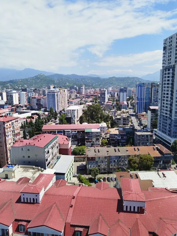 Уютная квартира в центре города района Батуми Молл