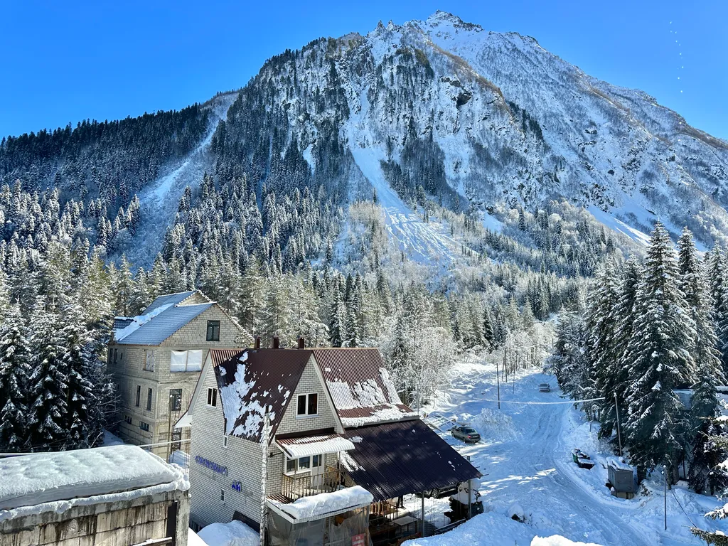 Туманный лес