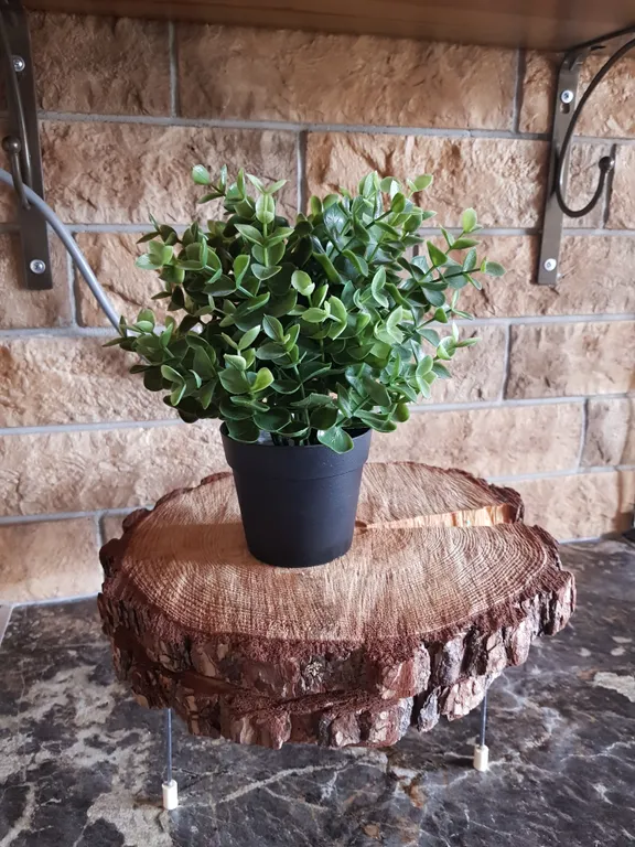 Шале с камином в центре города