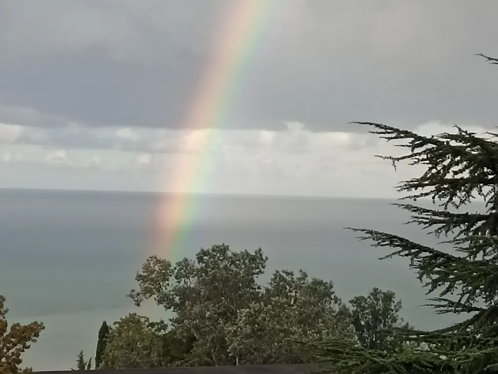 Квартира Сочи с видом на море