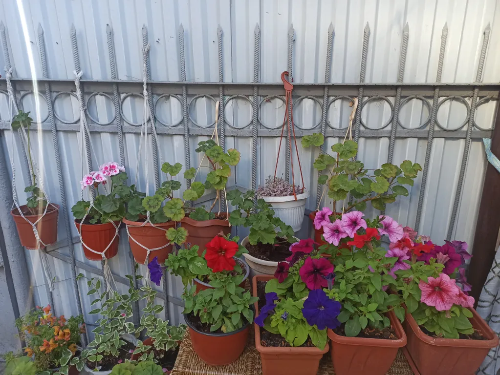 Уютная комната в частном секторе около моря