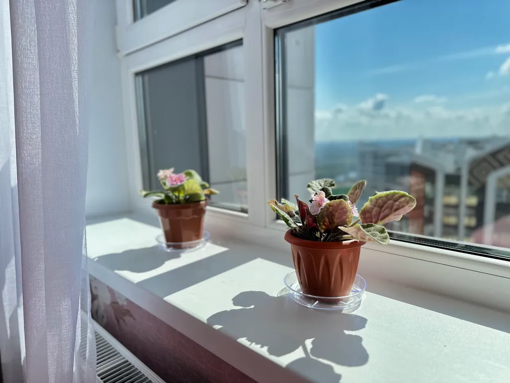 Квартира с красивым видом на город