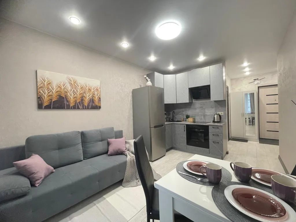 Однокомнатная квартира с холлом-гостиной