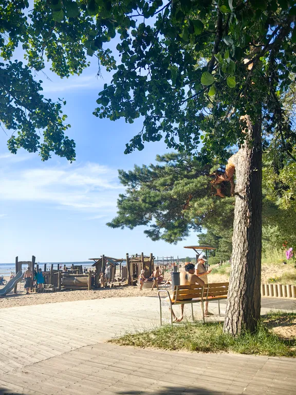 Премиальные апартаменты на берегу