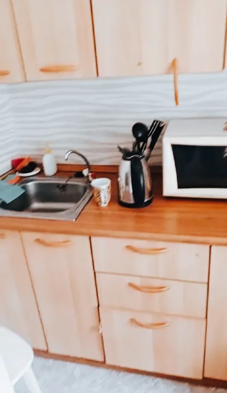 Квартира между вокзалом и аграрным университетом