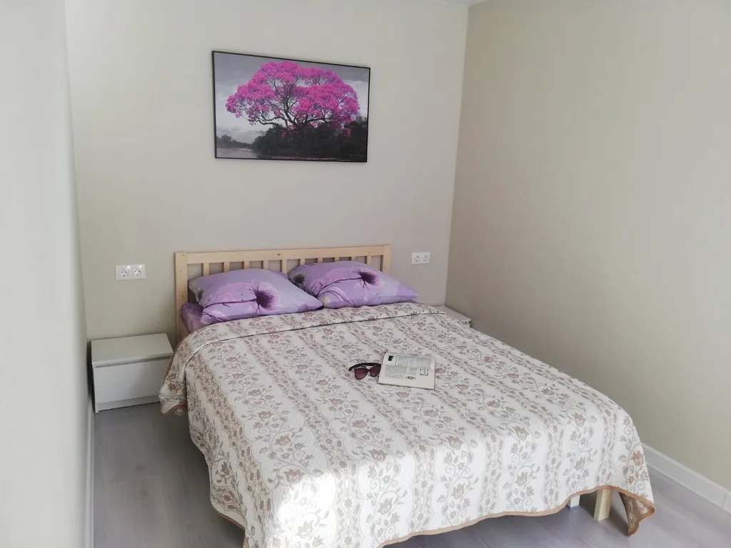 Апартамент рядом с центром Пскова