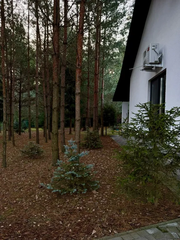 Уютный дом в лесу на 3 семьи