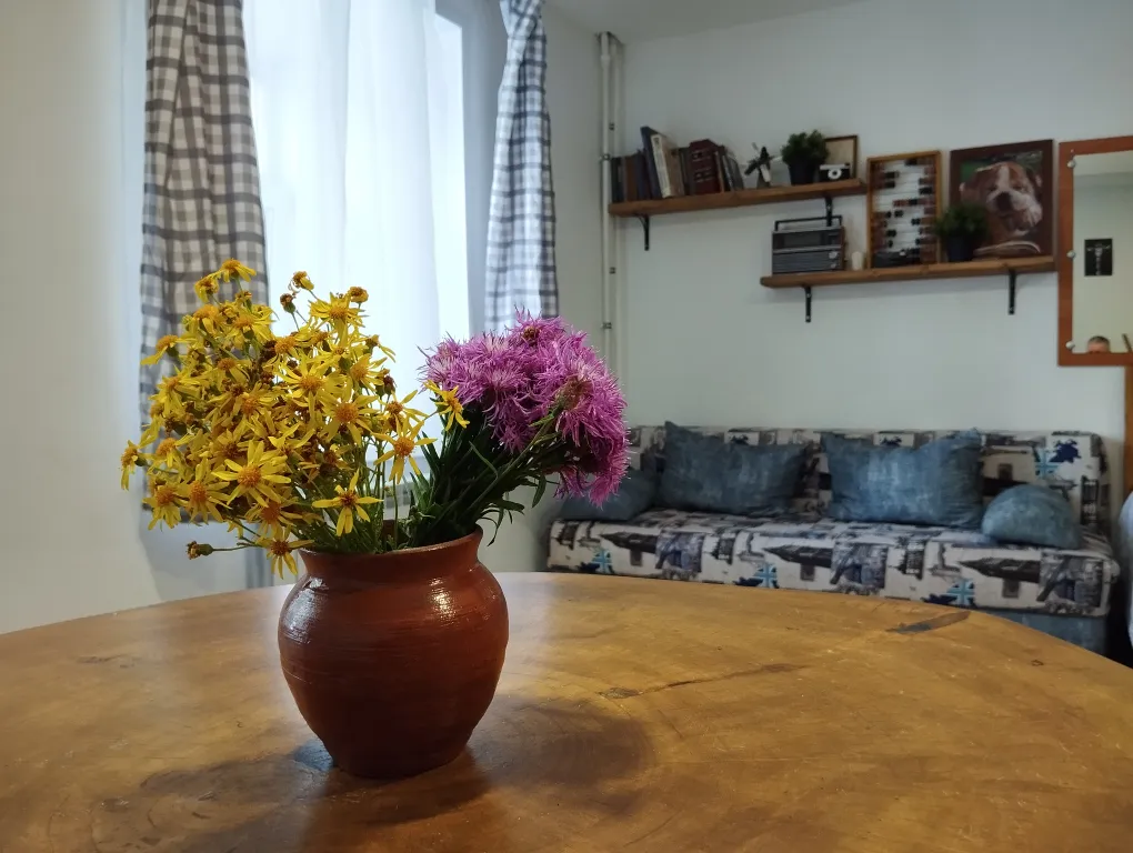 Квартира студия в центре города