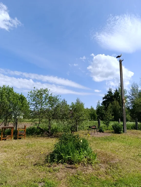 Уютный дом в Пушкиногорье