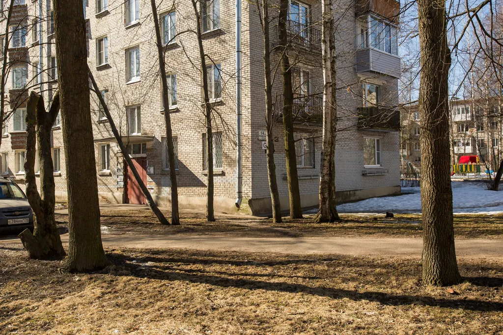 Венский лес