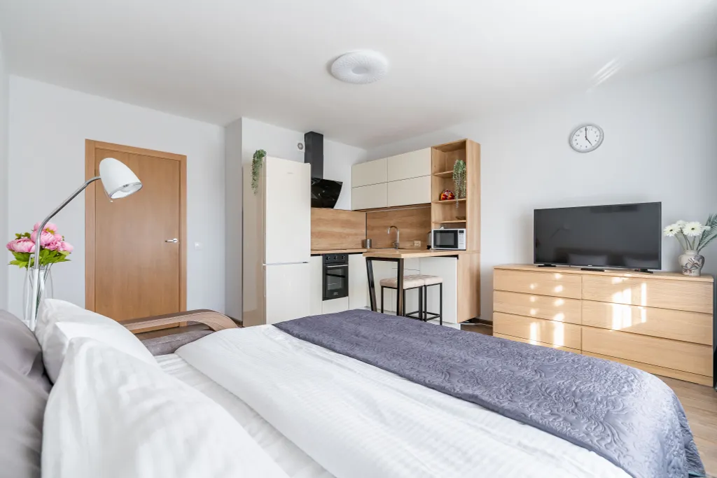 Квартира 1-комнатная Квартира — Песочный