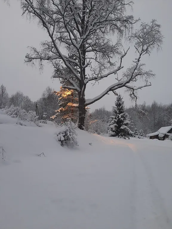 Дом на склоне холма у реки