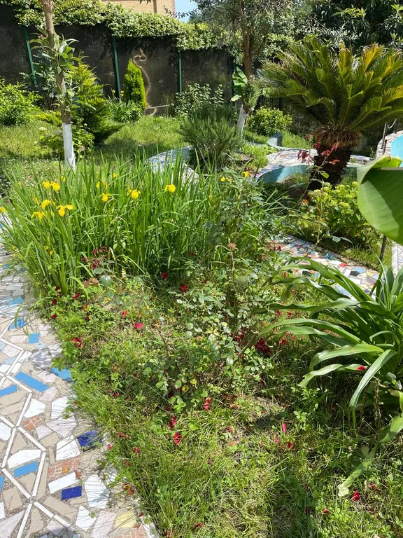 Уютная квартира в окружении леса