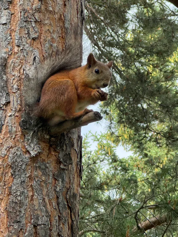 Уютный таунхаус