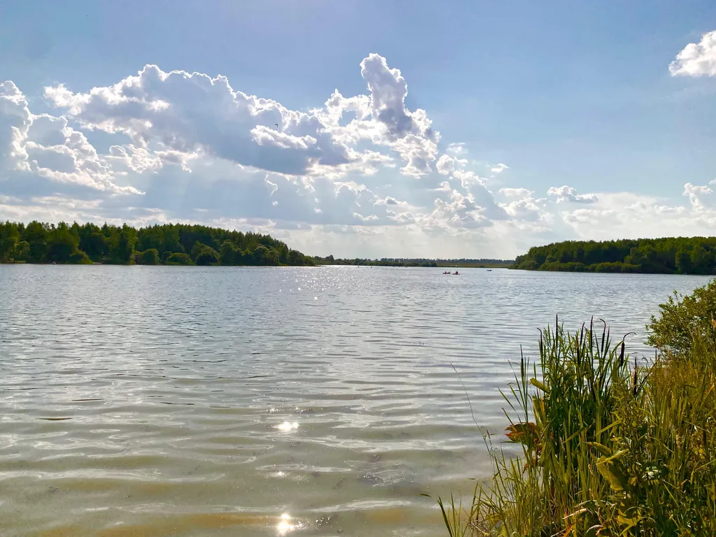 Эко-дом с горячей джакузи и профессиональным грилем на террасе