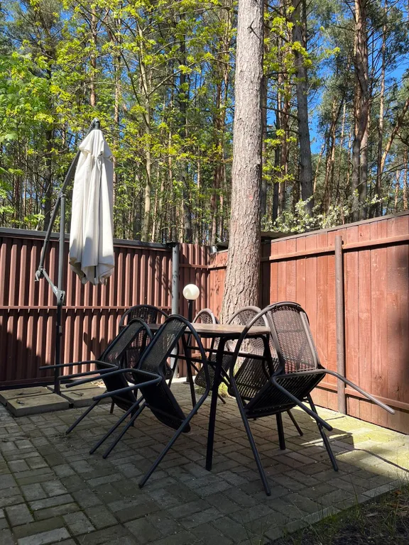 Уютный домик в сосновом бору на берегу моря