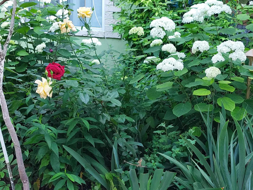 Коттедж Уютный коттедж для семьи — Судак