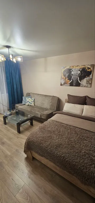 Квартира Квартира Центр, Музей мирового океана, Рыбная деревня — Калининград