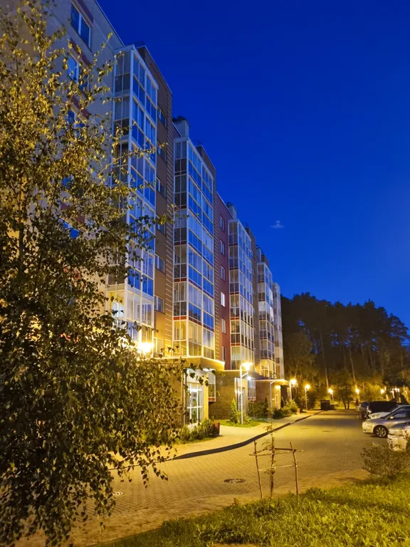 Студия с видом на сосновый лес