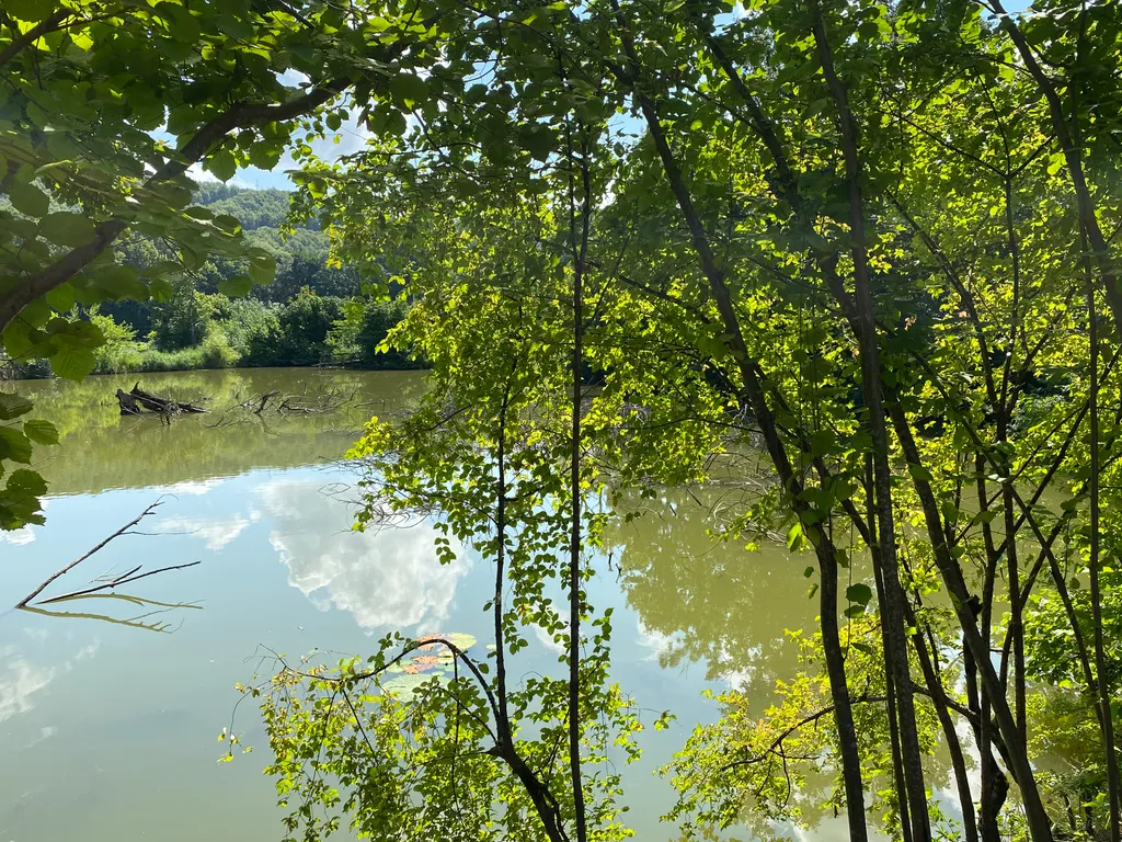 4-комнатный Дом