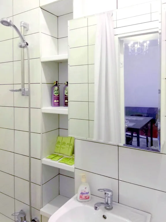 2-комнатная квартира у Инженерного замка