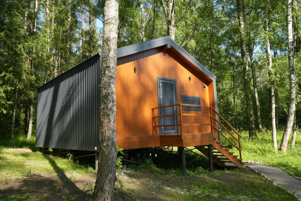 Дом с видом на лес