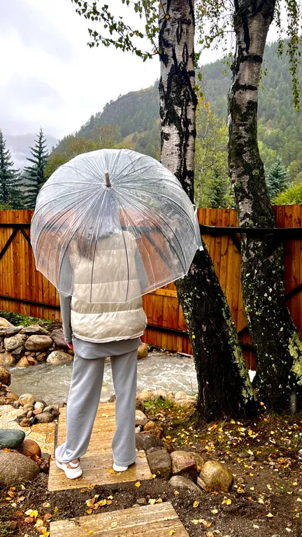 Живописный уголок в лесу вдали от городской суеты