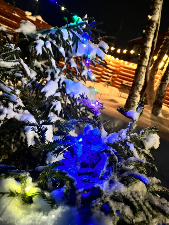 Семейный улей