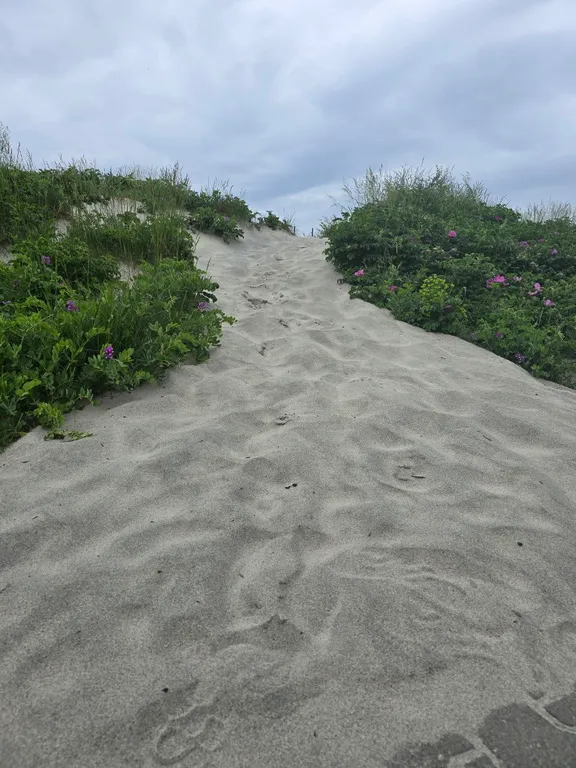 Изумительные 3-комнатные апартаменты с собственным участком земли