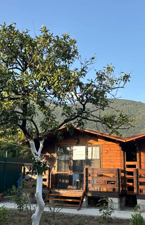 Коттедж 1-комнатный Дом — Гагра