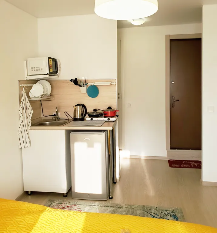 Уютная студия Лето в ЖК Факел