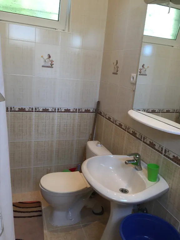 Коттедж 1-комнатный Дом — Лазаревское